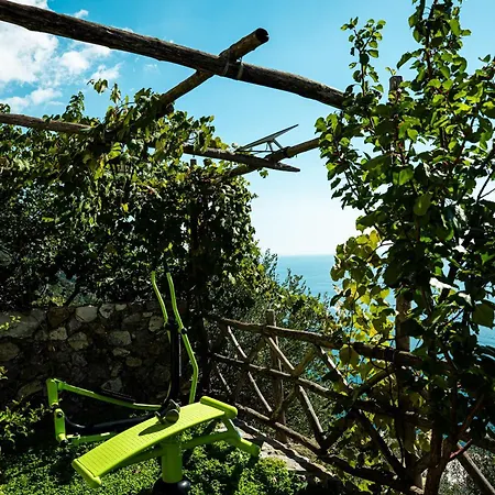 Pensionat Petrea Lifestyle Positano